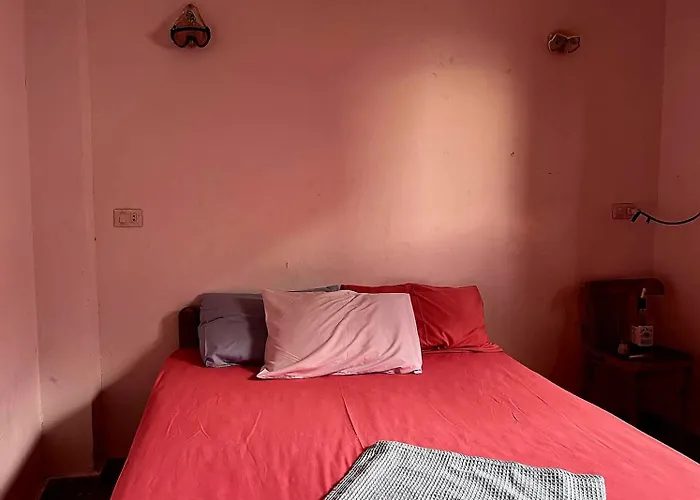 Amfibianhouse Alpesi faház *