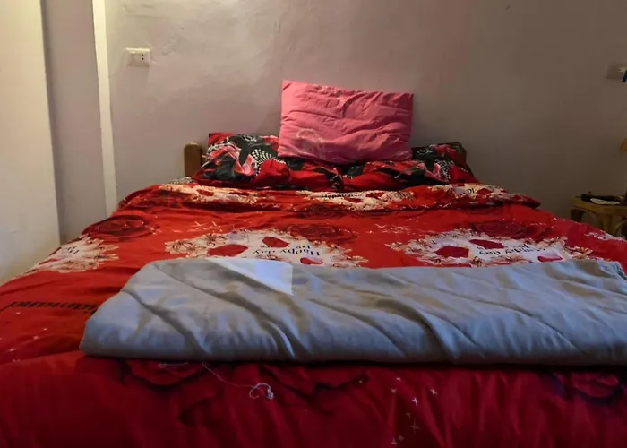 Amfibianhouse